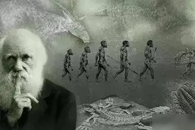为何有人相信没证据的神创论，却不愿相信有大量证据的进化论？图片