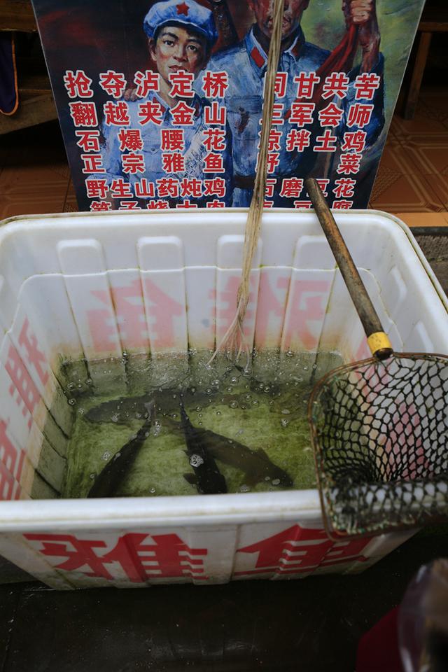 人间烟火气，最抚凡人心之上里古镇（原创）