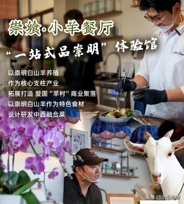 来复兴岛当一天快乐“岛民”