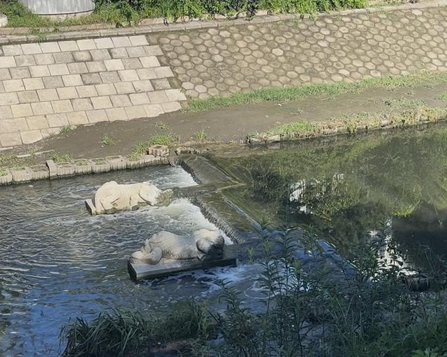 「京城水脉·夏日亲水地图系列报道」莲花河:千年水脉的都市新生