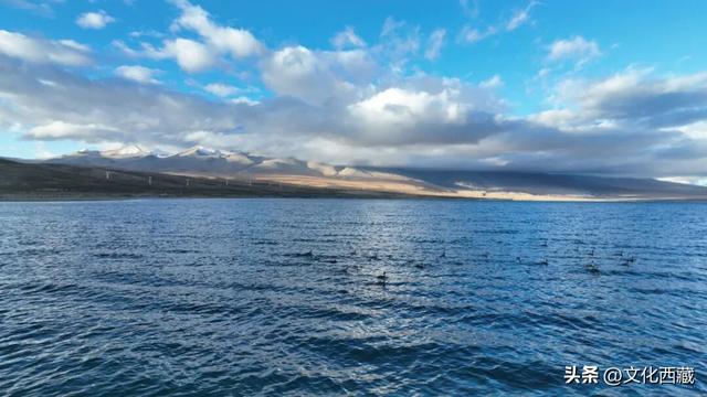 极致风光，唯有西藏阿里！初冬的金色童话一眼沦陷！