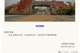 合肥野生动物园情况通报图片