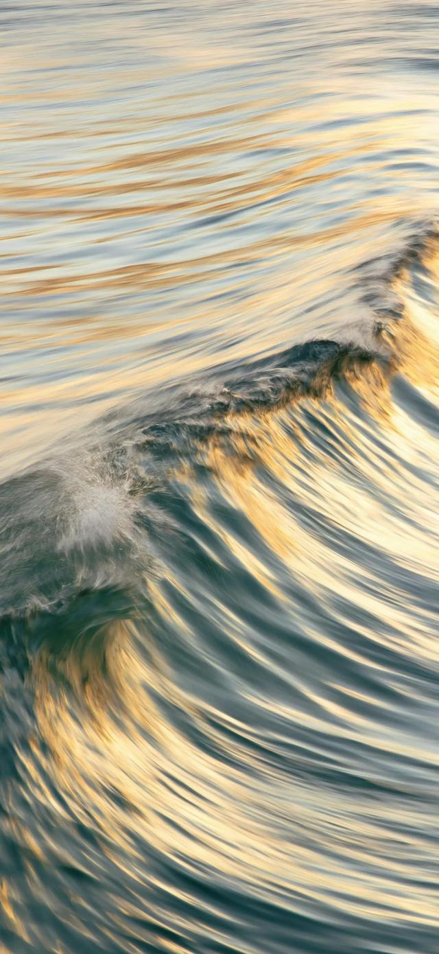 今日份的壁纸已送达