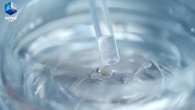 解锁高科技版天津！纪录片《创新的征途》即将开播