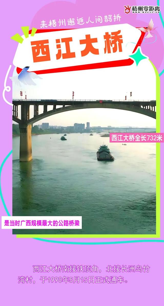 七夕，来梧州邂逅人间鹊桥