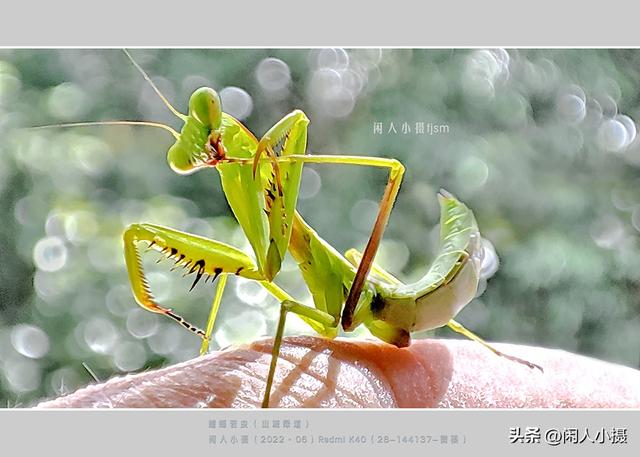 聊手机摄影（85）手机摄影用光入门须掌握，极具表现力的逆光摄影