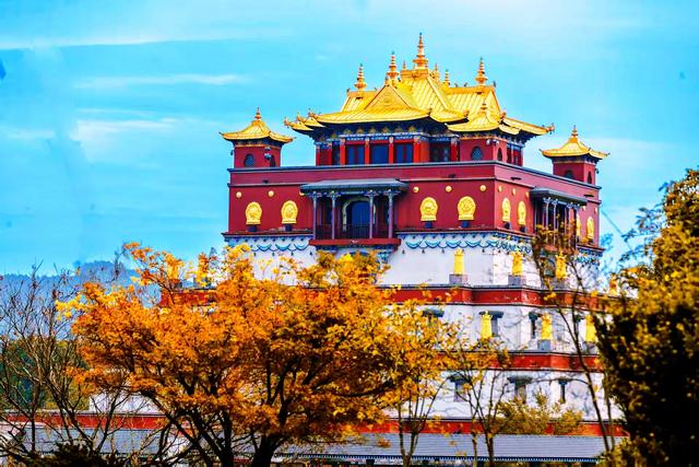 银杏鎏金，灵山胜境的璀璨之约