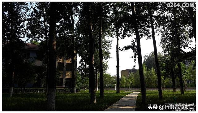 山东行游影记（17）—济南山东大学（四）