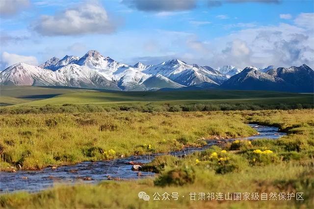白露至 秋意浓｜甘肃邀您共赏金风玉露