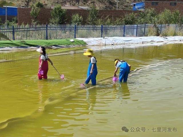 “五一”出游记 | 寻一处悠然，把日子过成诗——七里河区拙舍·草庐