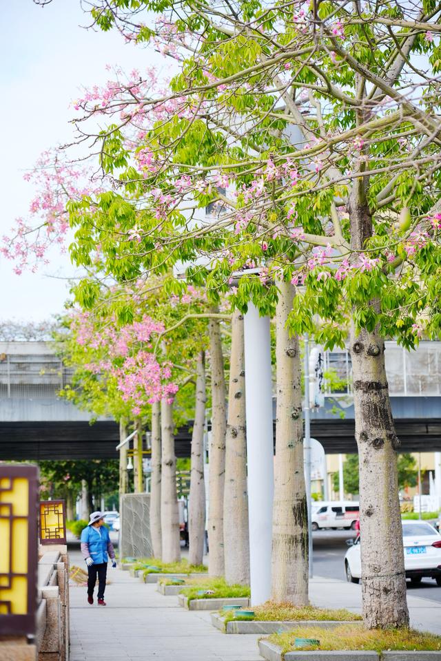 一路一花开，四季如诗“里”