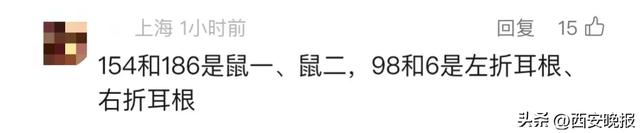 为4只“太空小鼠”取名，网友：从从、容容、游刃、有余……