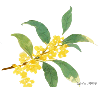 又一5A景区官宣永久免费！年入数亿，关键是秋天美到词穷！