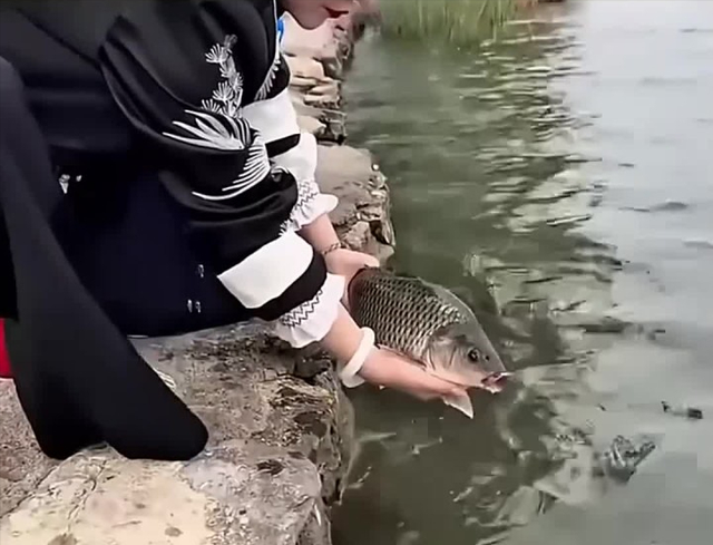 黄河每天冲鱼入海，大部分淡水鱼无法在海中存活，最后都去哪了？