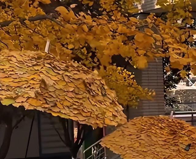 赴一场秋日之约，别把“火种”带上路