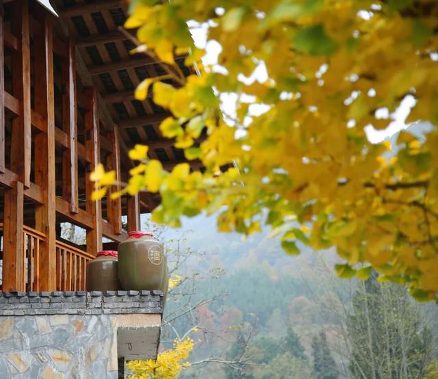 来广元月坝，解锁一场“多巴胺”初冬