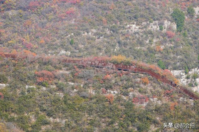 焦作窄门的深秋色彩！走五彩步道，赏太行红叶