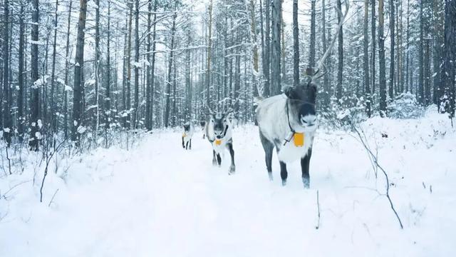 呼伦贝尔跻身TOP5！