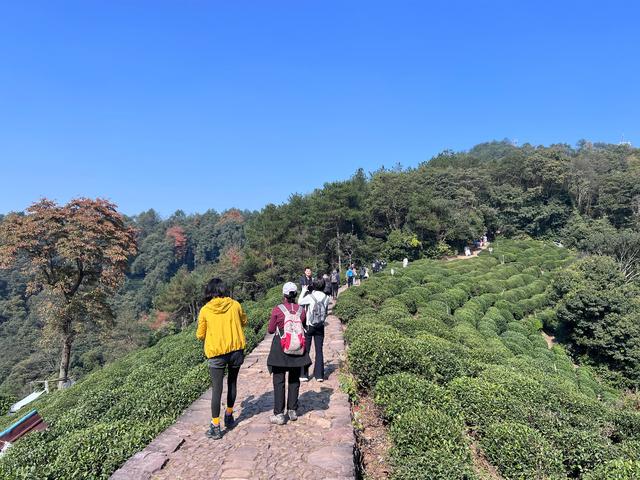 上天竺到云栖竹径，徒步9公里，感受一路秋意。