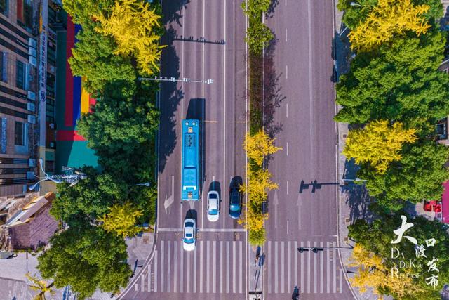 大渡口这里开启“美颜模式”，打卡要趁早～