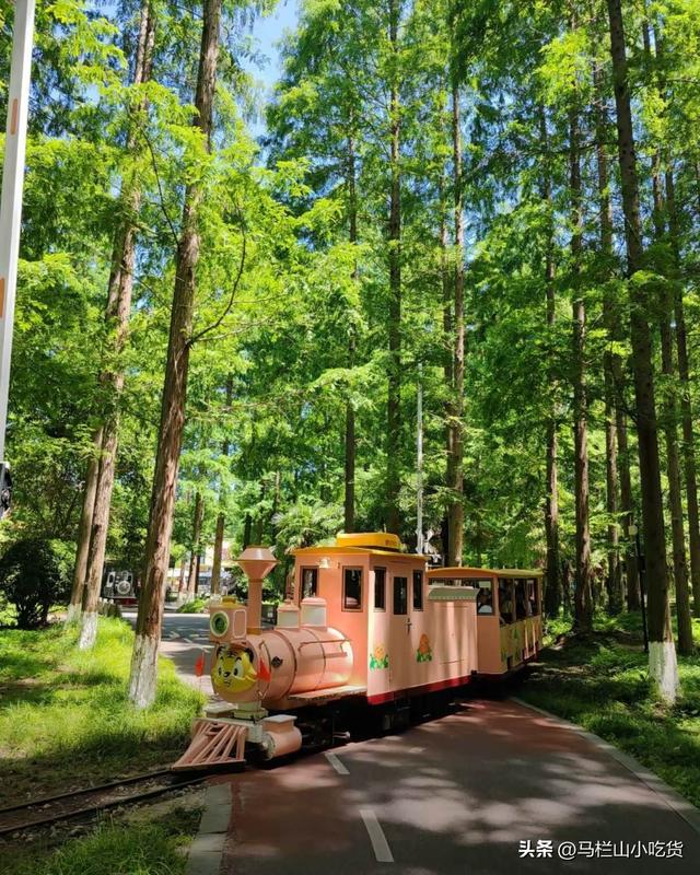 江苏盐城 | 这座宝藏小城太值得去了！