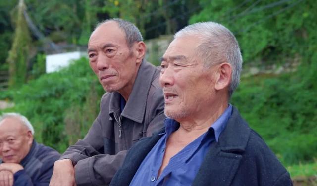 发现·公园城市 | 在成都，这个有两千岁古树的村庄也是长寿村