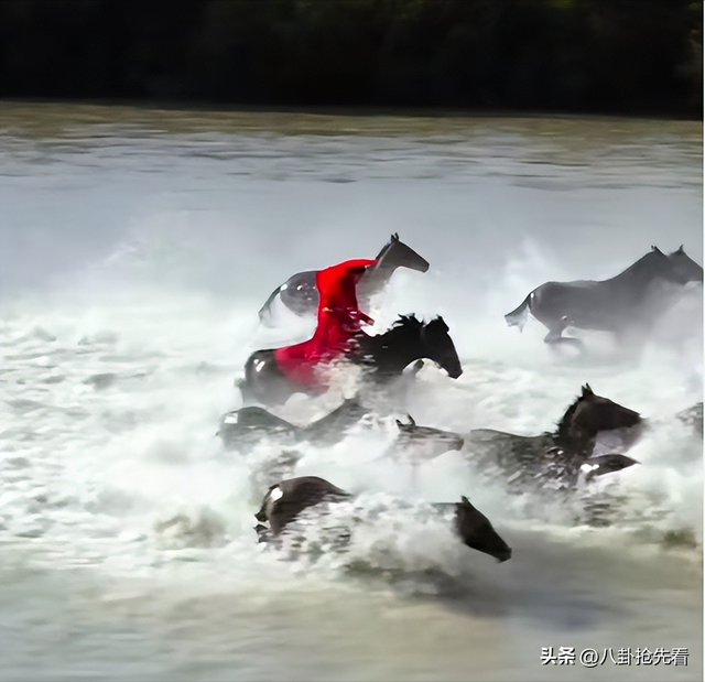 贺娇龙去世不到12小时	，恶心的一幕发生，她生前行动太催泪