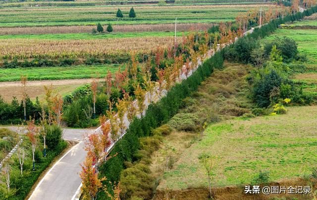 山西襄汾：陶寺遗址秋色美