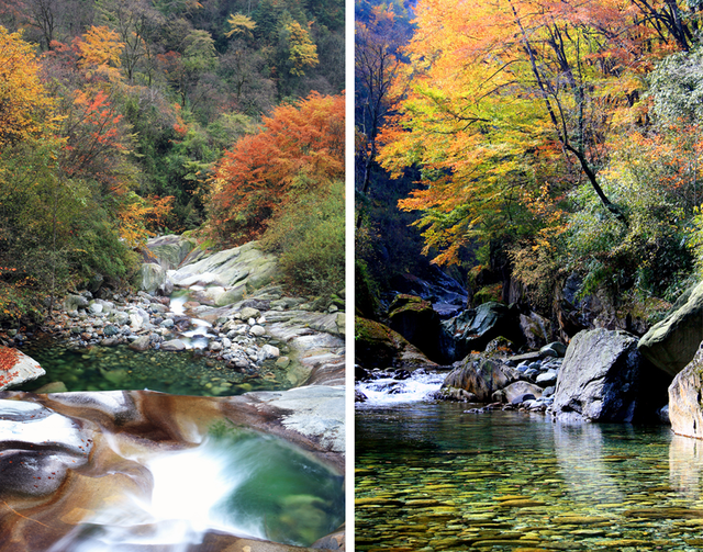 走不出这画了，我已被平武的彩林迷倒！