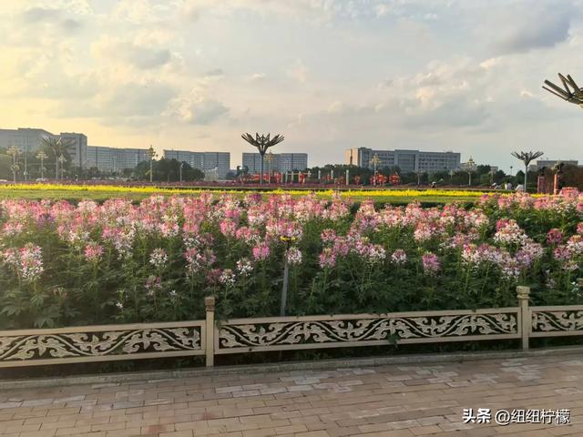 内蒙古之旅碎碎念,很开心的一次旅行,感觉鄂尔多斯被严重低估了