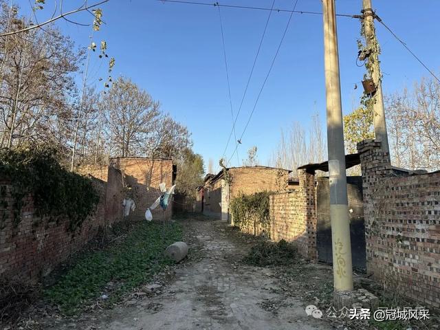 冠县乡韵·贾镇荆楼村