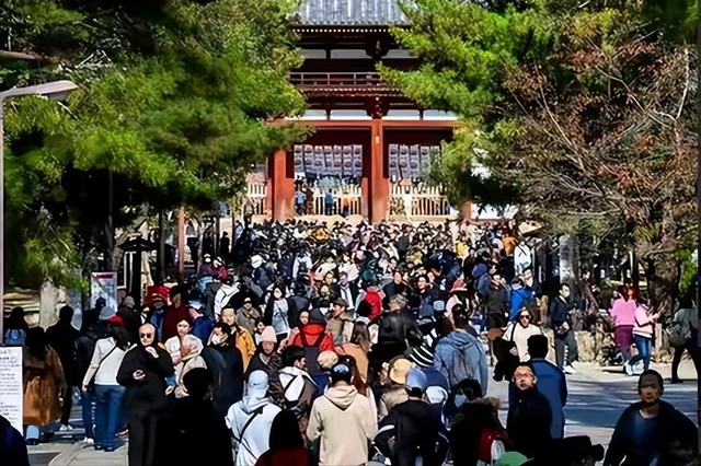 中国的免签政策，在全球赢得更多回响，韩国免税店急呼延长免签