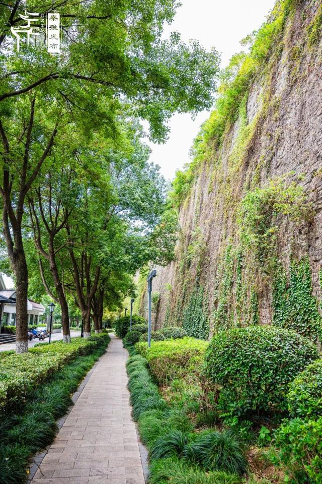 秦淮citywalk｜夏日寻凉之月牙湖