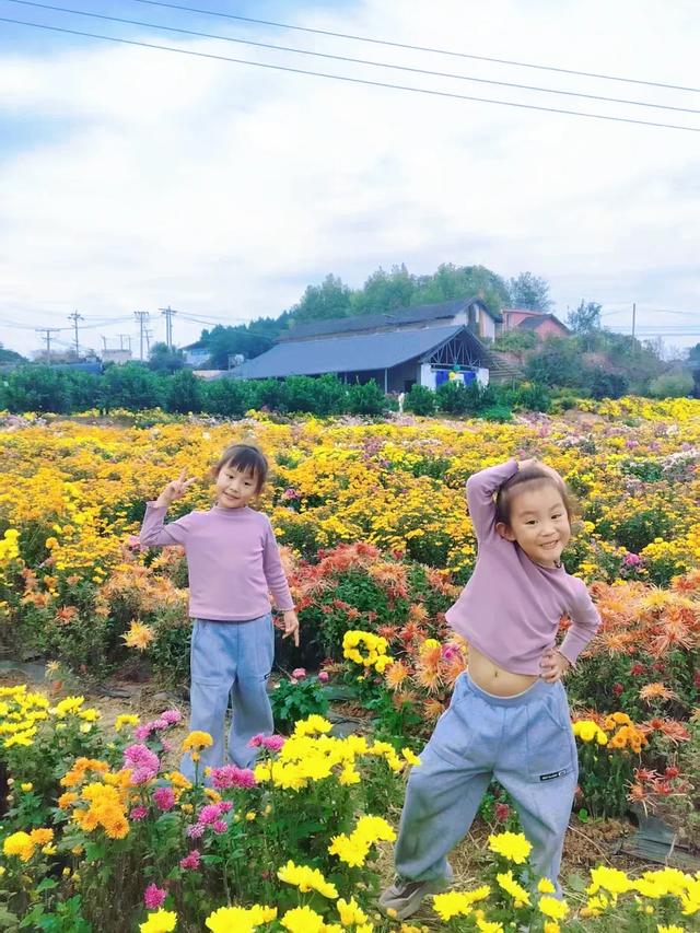 “我”的秋假时光 | 见山见水见世界 ③