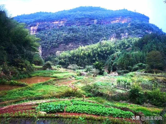 红韵翠谷，桃坪行吟