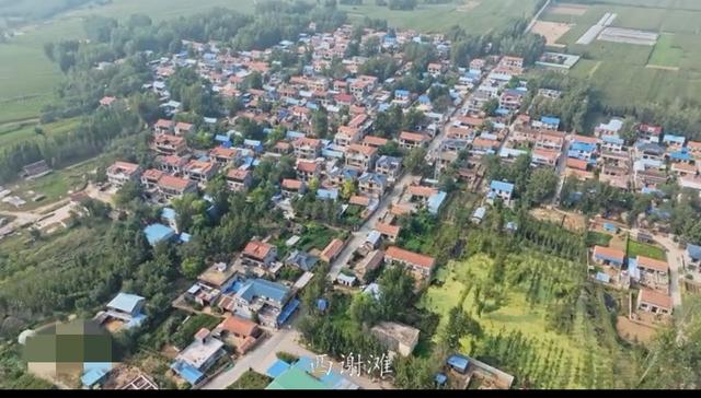 魅力曹县楼庄镇