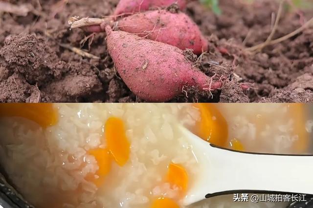 四川这个被调侃为“苕国”的县，方言土得独特，美景美食藏着惊喜