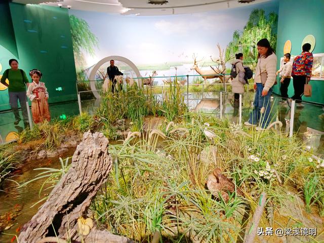 五九时节，观扬州大运河博物馆（下）