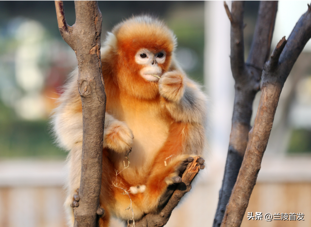 好客山东好品山东｜临沂遛娃去哪儿？初冬攻略收藏就出发～