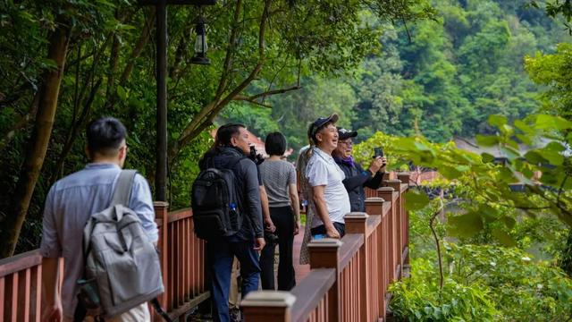 韩国济州岛观光协会深度考察韶关文旅资源 两地共谋旅游合作新篇