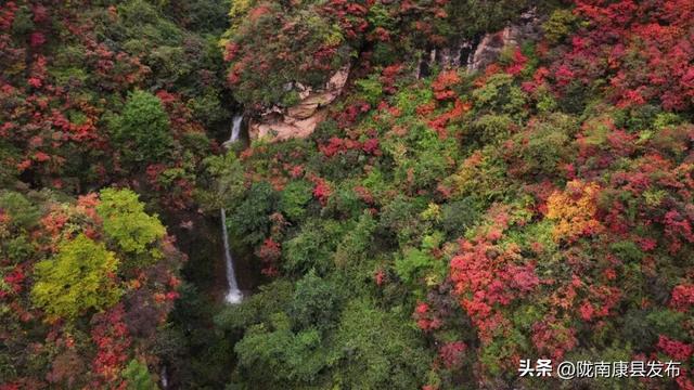 红叶遍山野，秋韵满望关