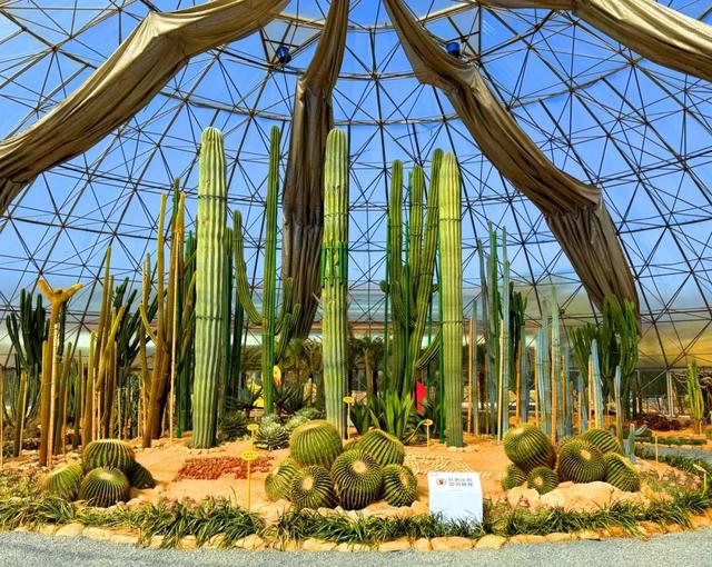 原来真的有城市，可以一天24小时都快乐~（2）