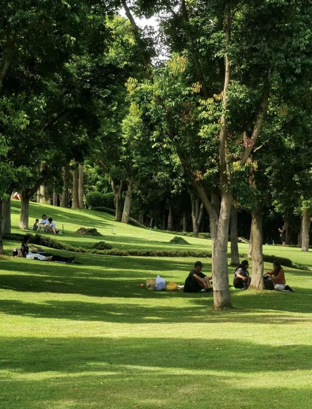 不输昆明！高铁可达20℃暖冬小城，泡温泉晒太阳水果随吃！人少物价低，6元就嗦粉！
