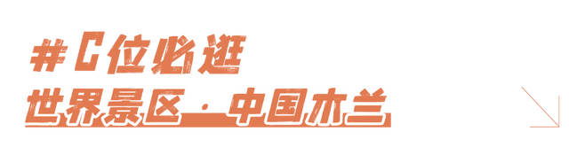 盛会开幕！21万人预约严选！这里好逛好看更好玩！