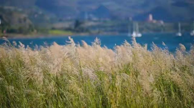 带着孙女去旅行（172）两游云南抚仙湖