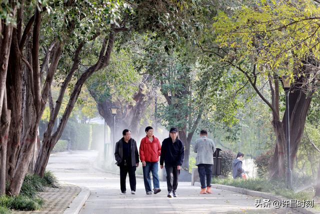 西湖公园：冬日暖阳里的惬意时光