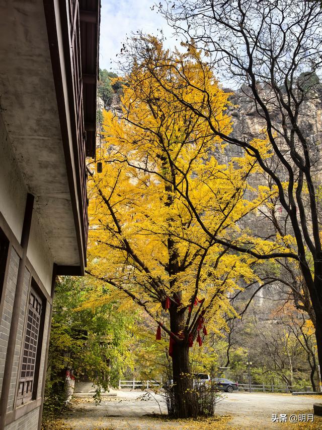 龙洞胜境尤奇崛