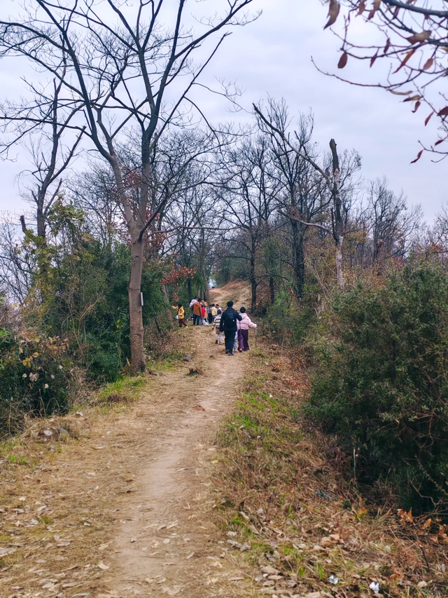 成都周边1h！公交直达的野趣山脊，新手亲子徒步首选！