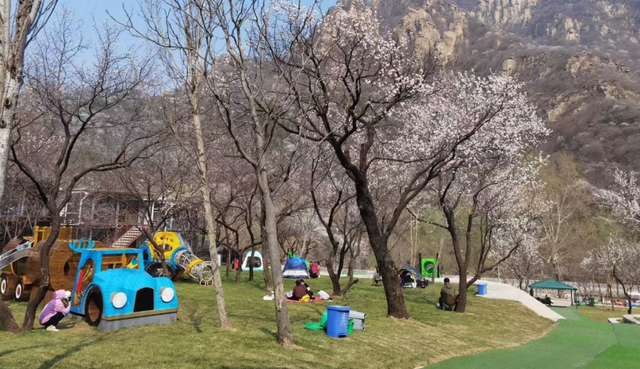 多景区恢复开园、营业时间更新，这份怀柔春日踏青攻略请收好——