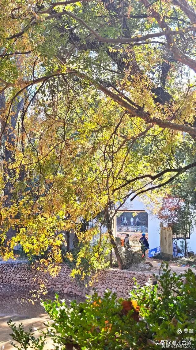 秋染浙西，邂逅烂柯仙境的绝美风光！